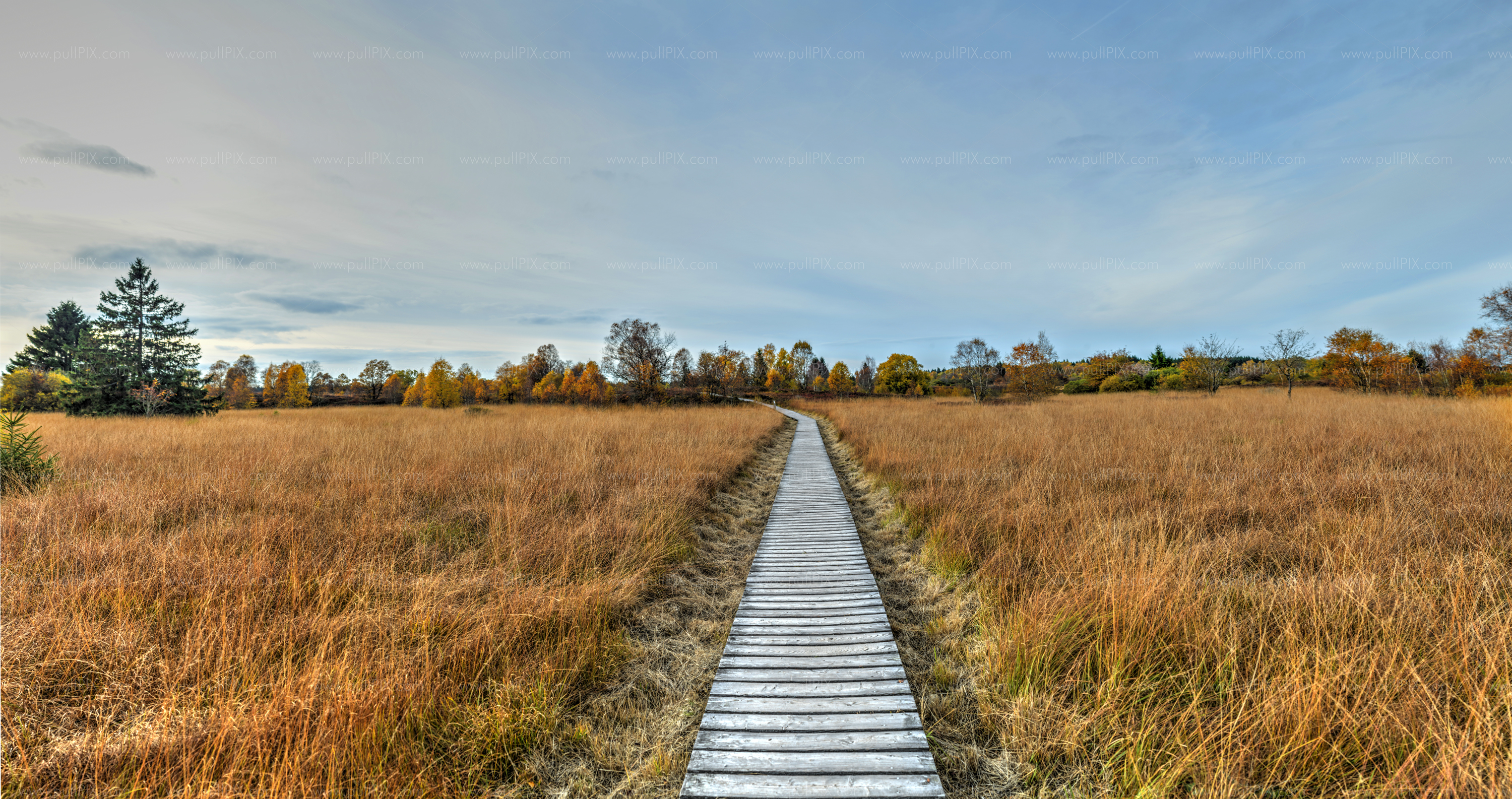 Preview Hohes Venn Steg mittig_Opt.jpg